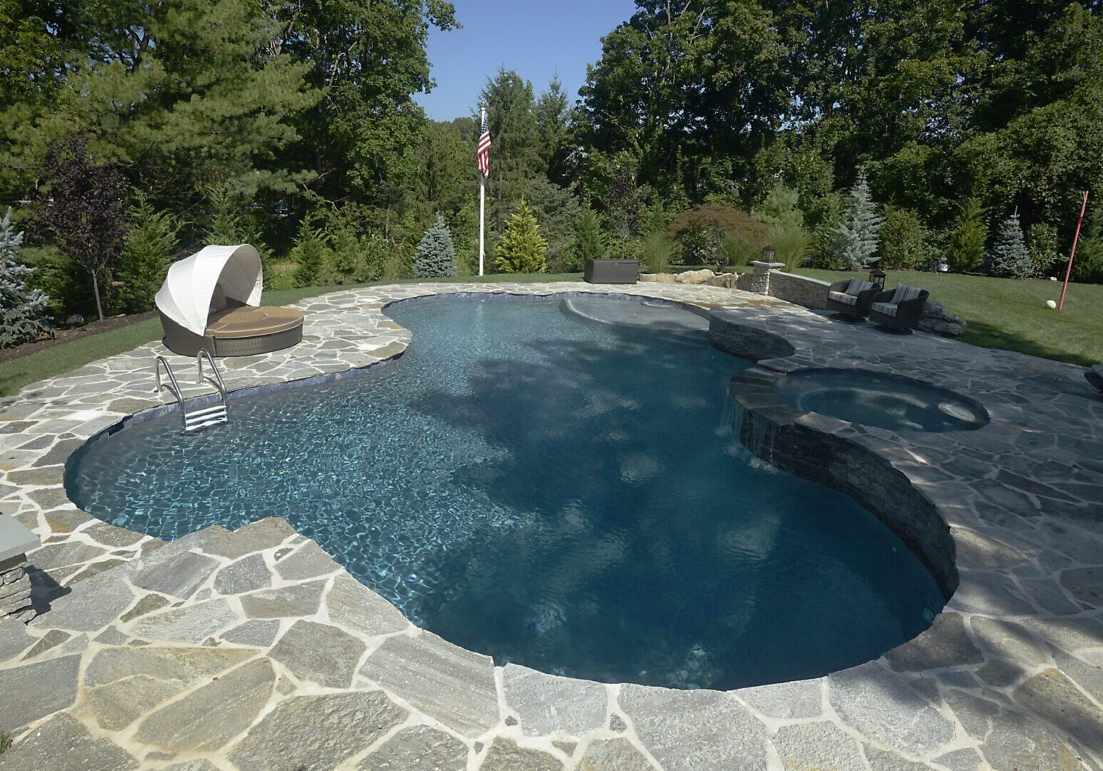 Swimming pool surrounded by trees